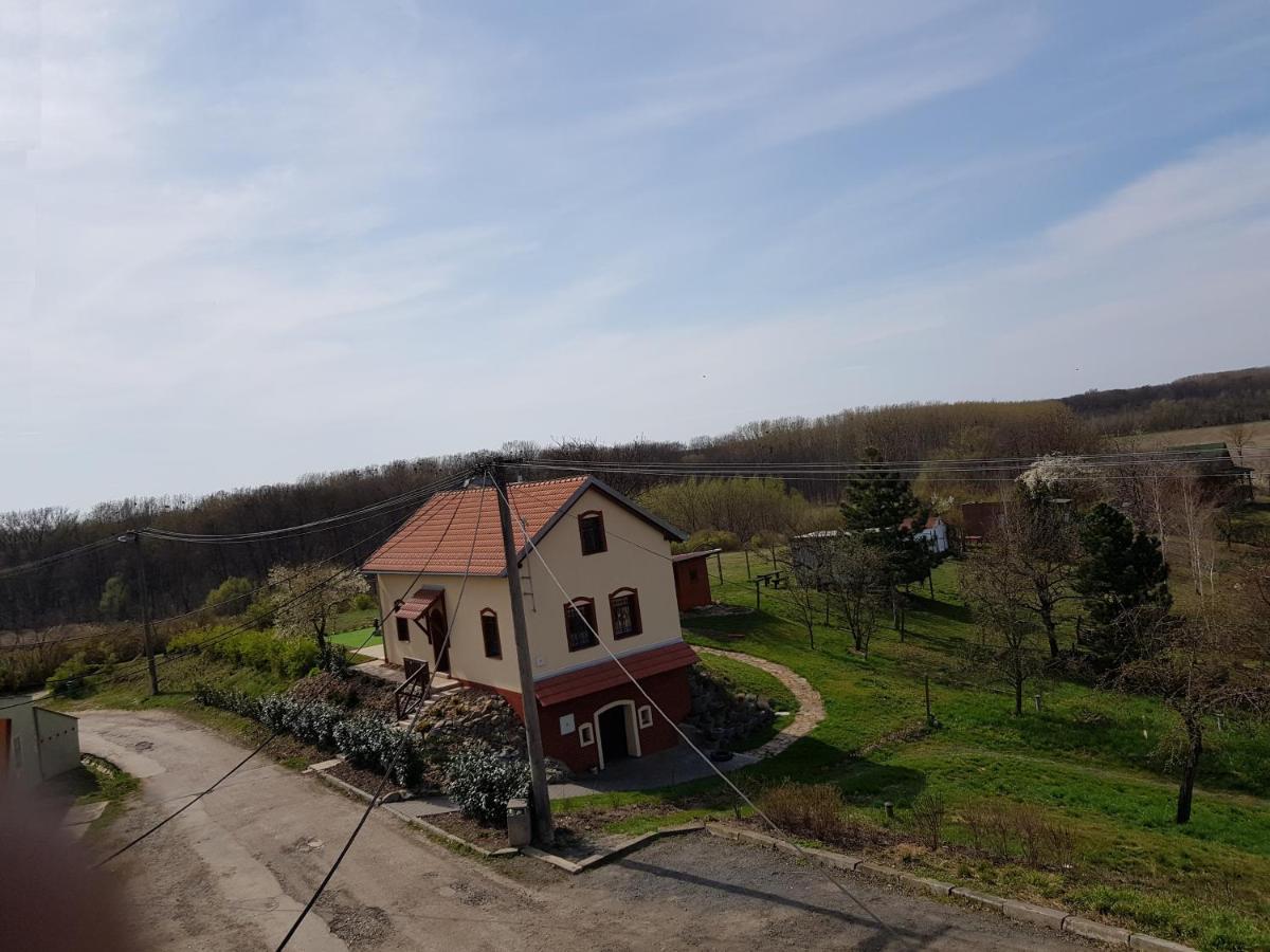 Apartman S Vinnym Sklepem Viktorie Pouzdrany ภายนอก รูปภาพ