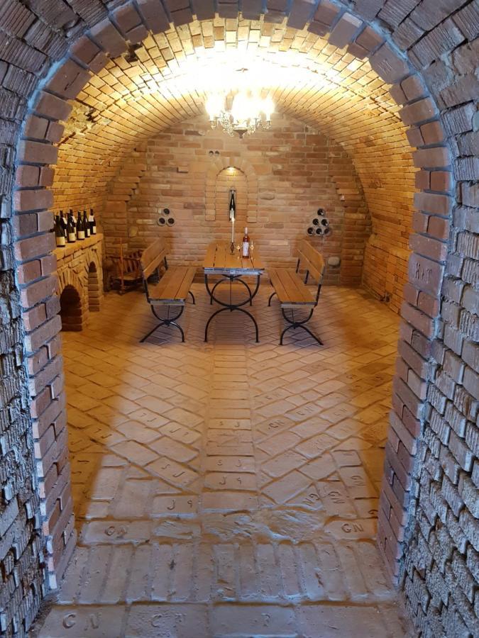 Apartman S Vinnym Sklepem Viktorie Pouzdrany ภายนอก รูปภาพ